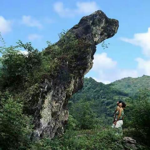 賓人谷国家4A景区美景