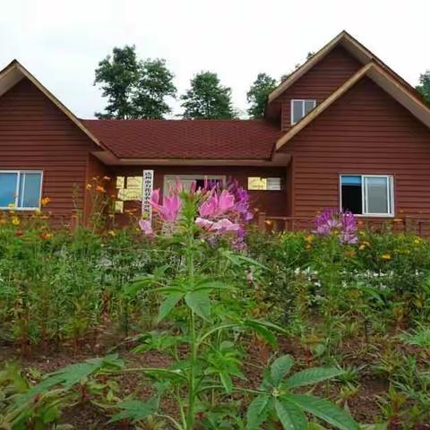 渠县临巴万花谷百花怒放