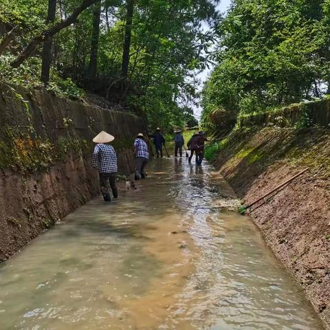 清淤渠 畅灌溉 为灌区粮食生产保驾护航