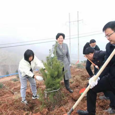 城市清洁 植绿嵩州 美化家园——嵩县持续开展城市清洁行动