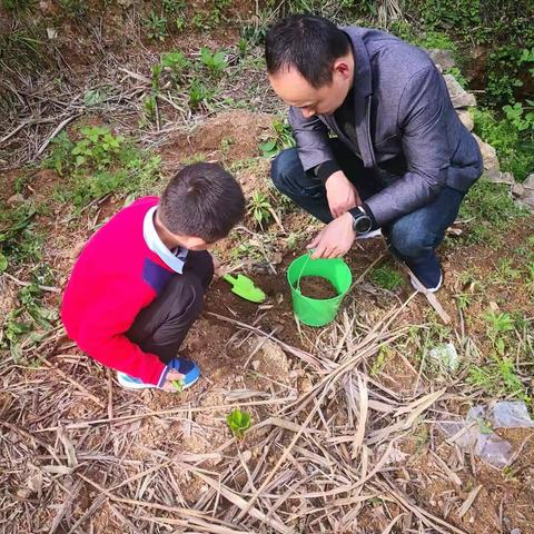 我和植物宝宝一起成长