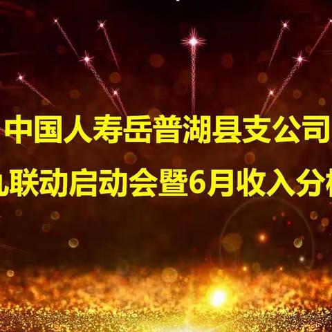 中国人寿岳普湖支公司“”89联动”启动会暨6月收入分析会简讯