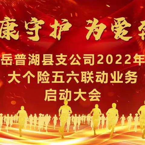 中国人寿岳普湖县支公司《健康生活·为爱保证》五六联动二次启动大会简讯