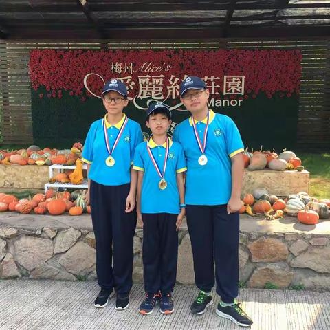 哥哥的拓展训练