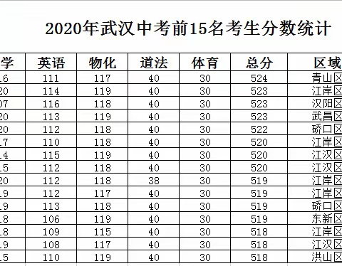 优师优课初中部：武汉中考语文梯队排名！