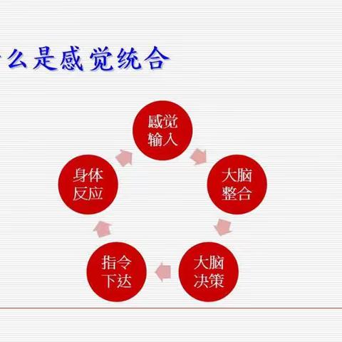 洪强普惠中医医院儿童康复中心——感觉统合教师培训