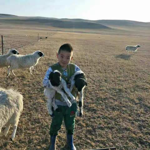 道特淖尔幼儿园二年级学生参加社会实践活动