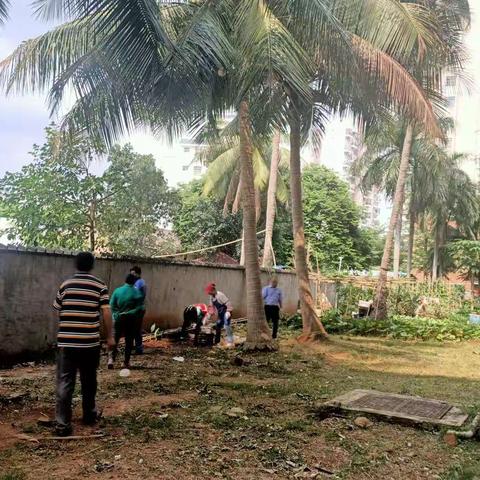 2021年4月25日在农垦机械厂清理垃圾