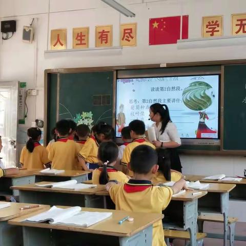 金秋十月，收获满满——仁化县2020年小学语文优秀课例评比心得体会