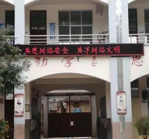 小学开展学生信息安全意识培养活动简报