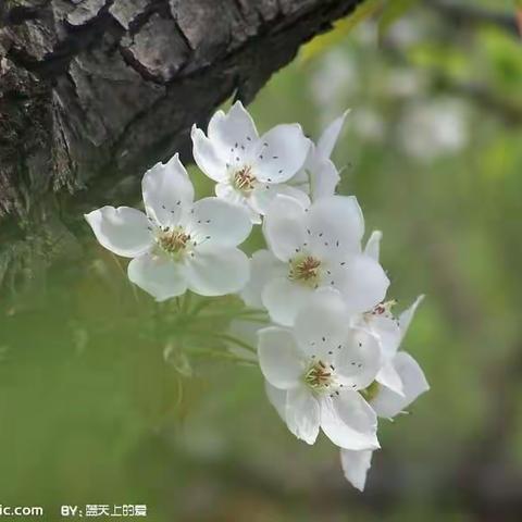 九月赏春诗会