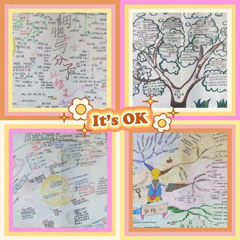 思维导图，知识结构网络建构比赛——高三生物备课组活动