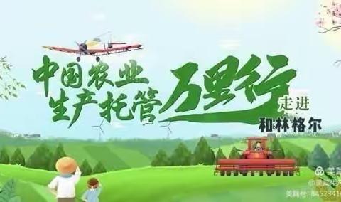 🌈“中国农业生产托管万里行—走进内蒙古”大型全媒体直播活动🌈