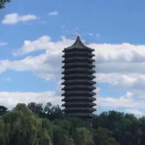 （一）风雨人生