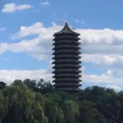 （六）社交活动