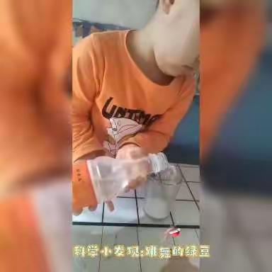 科学育儿，家园同行——南湖幼儿园家园共育助力幼小衔接工作简报