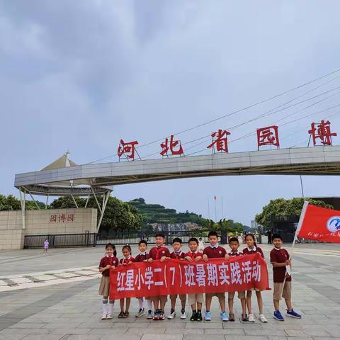 石家庄市红星小学二（7）班暑期实践活动——点点星光队园博园游记