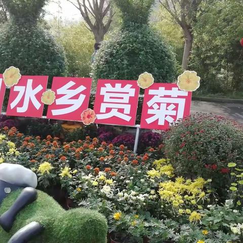 浮生半日闲（3）——参观资阳首届菊展和湿地公园