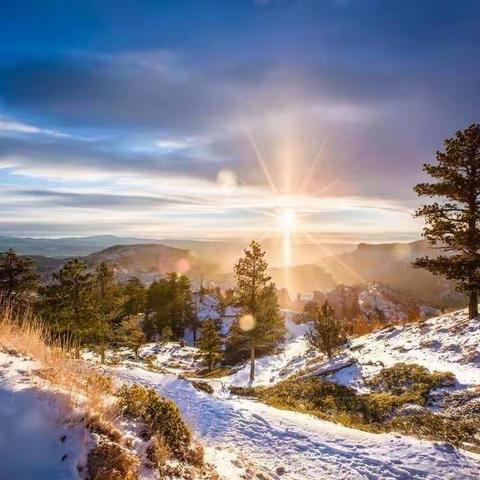 初冬暖意融，教研意正浓——实验小学年组教研纪实