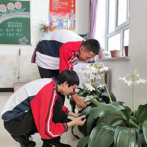 满归中小学举行“生命在于绿色 希望在于绿色”植树节主题系列教育活动