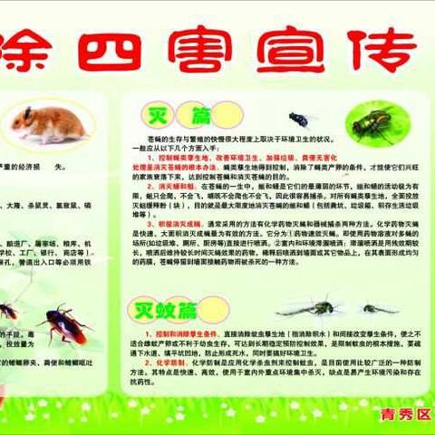 东团小学“除四害，讲卫生”活动简报
