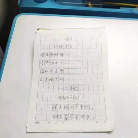 特色假期      最美行动