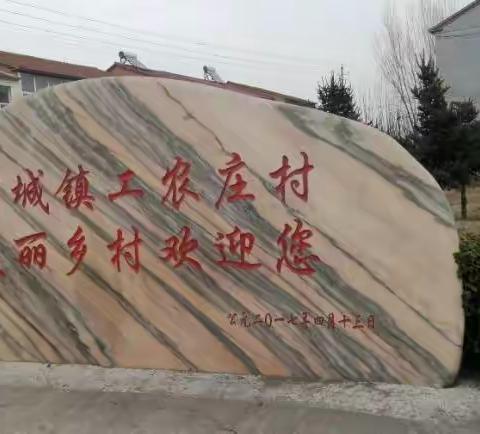 小小网格员     服务大民生               （工农庄村第三网格王云芳）