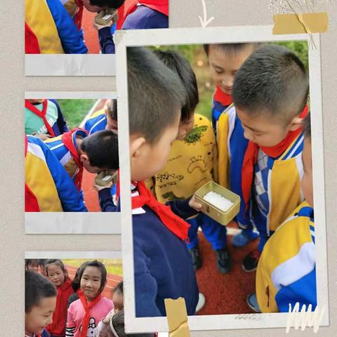 走进生态课程，拓展生命宽度——记昌城小学生态课程教育