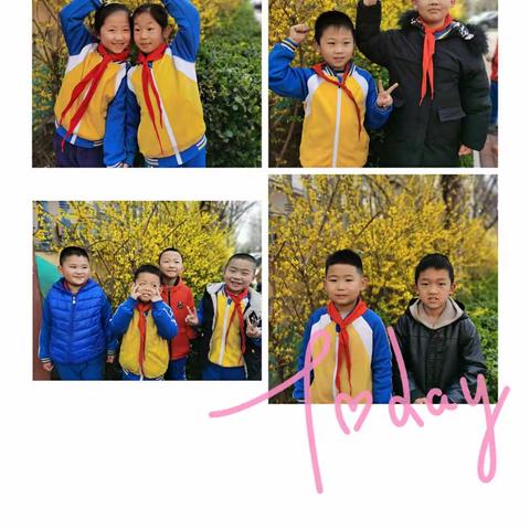 我和春天有个约会——昌城小学二年级五班踏寻春天的足迹