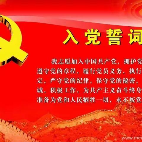 芒市民办幼儿园联合党支部五月“主题党日活动”报道