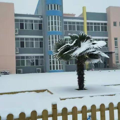 2019年的第一场雪