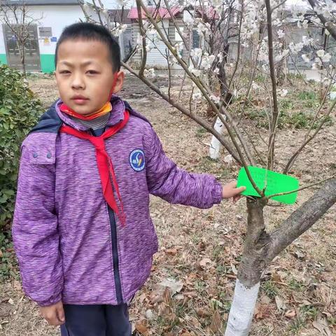 赴春约，种成长，3.12植树节，寒亭区实验小学二（5）中队的队员们开展“我为地球添绿色”活动