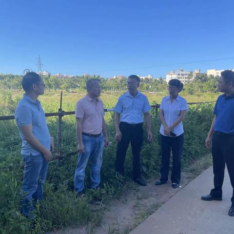 海南省农科院为文城镇农业产业支招