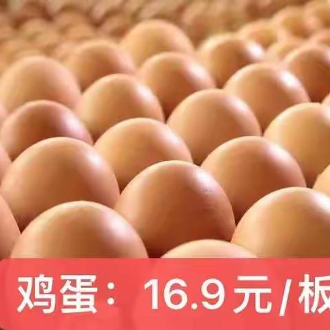 维新家乐多暑期特惠