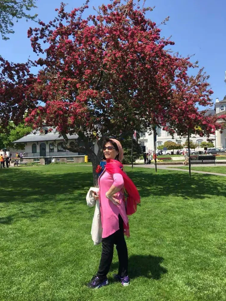 加美掠影(2018年5月20日~6月8日)