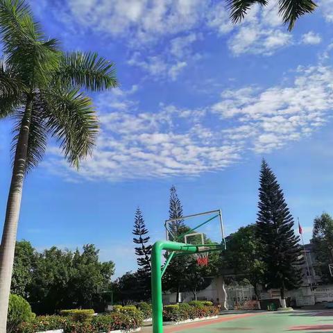 出彩童年—乐民镇平佳小学参加中心小学学区首届管乡塑管创艺大赛