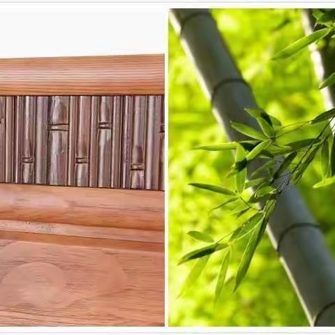 诗词 | 五月知竹，人生知足