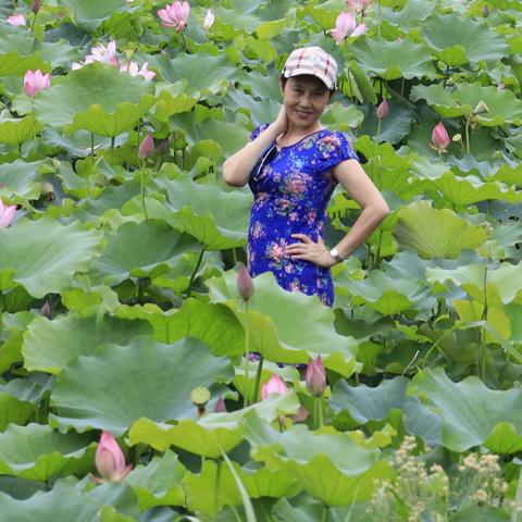 耳顺之年依然很美