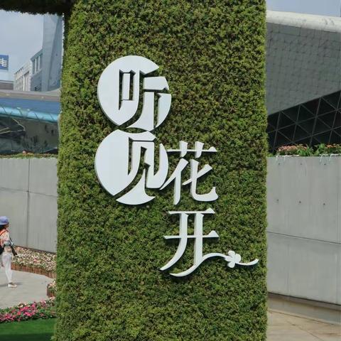 魅力广州之【花城 与花】