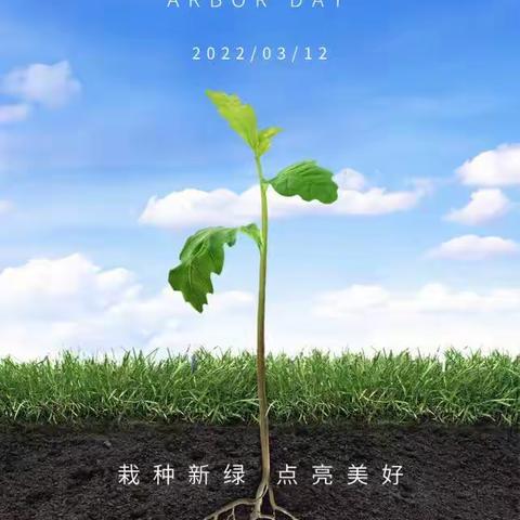 守护一片绿，孕育新希望--实验小学4.12中队植树节活动