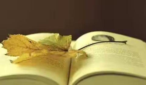 初中英语词语运用题的解题方法和技巧