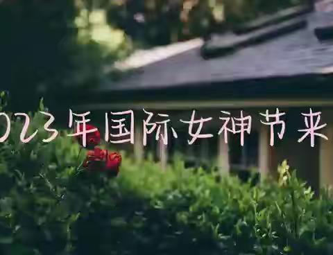 朝乾夕惕不忘初心，教书育人心无旁骛（六十九）