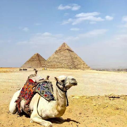 埃及法老DAY3:开罗/金字塔/胡夫