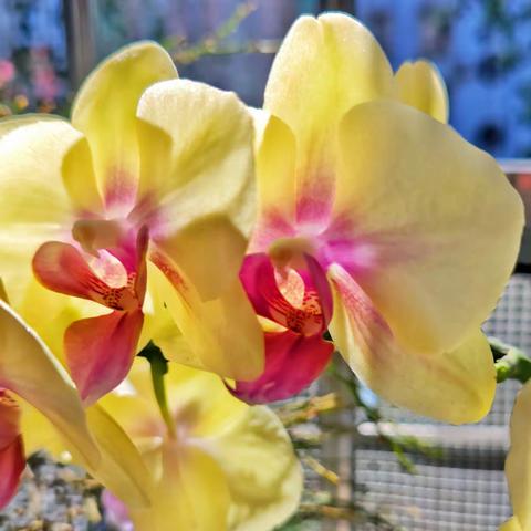 冬日，阳光温柔以待