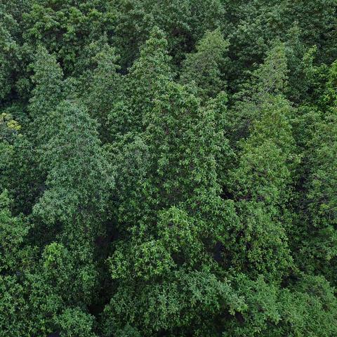 降温了，即时解除临时管控区！！！