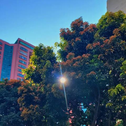 广州，阳光正好