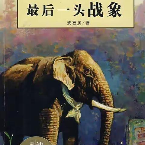 好书推荐《最后一头战象》