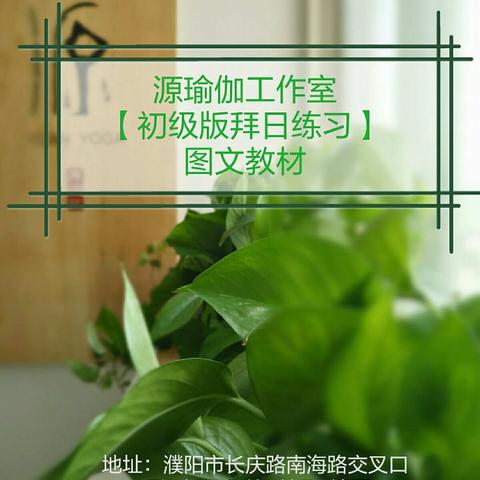 基础版拜日练习 真人教学演示