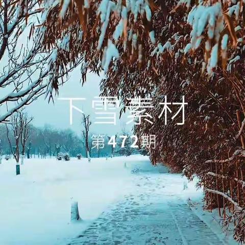 记初冬的第一场雪