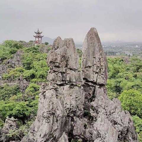 我的旅游记